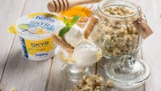 Gelato allo Skyr e camomilla, una merenda estiva Gelato allo Skyr e camomilla, una merenda estiva