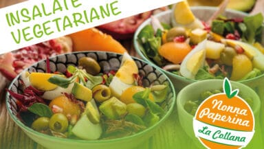 ebook insalate vegetariane