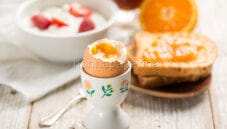 Amate le uova? Provate le uova di gallina Australorp