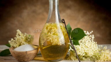 Aceto ai fiori di sambuco