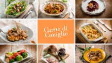 La carne di coniglio, un’alternativa a pollo e tacchino La carne di coniglio, un’alternativa a pollo e tacchino