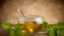 Tisana di melissa, il meglio delle bevande rilassanti