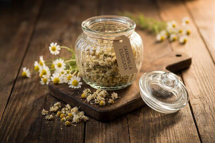 camomilla essiccata camomilla essiccata