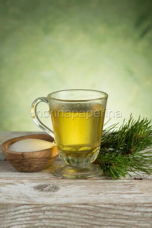 tisana al pino mugo tisana al pino mugo