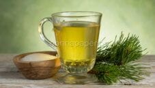 Tisana al pino mugo, una bevanda dal sapore selvatico