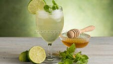 Bevanda alla melissa, un cocktail analcolico per tutti
