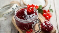 Gelatina di ribes, un alleato in cucina