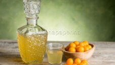 Liquore alle susine gialle, un digestivo perfetto Liquore alle susine gialle, un digestivo perfetto