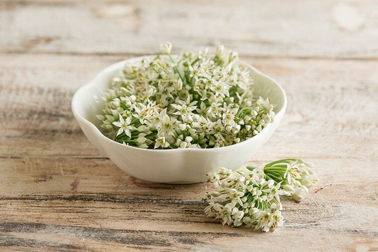 aglio orsino Aglio orsino