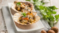 Le Coquilles Saint Jacques per deliziare il palato degli ospiti