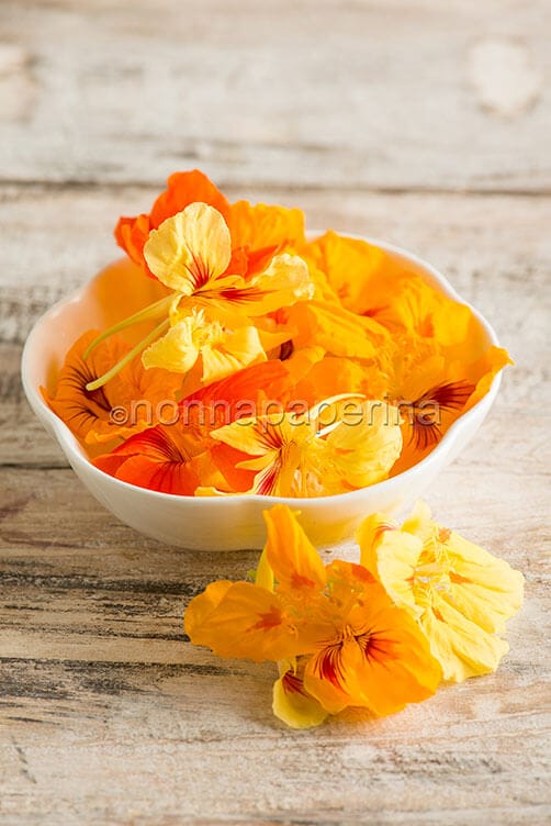 Fiori di nasturzio Fiori di nasturzio