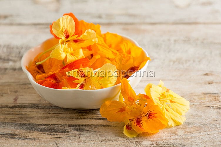 Fiori di nasturzio, un ingrediente segreto che sa di cappero Fiori di nasturzio