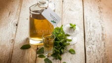 Mint liqueur, an easy home-made liqueur Mint liqueur, an easy home-made liqueur