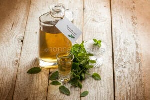 Mint liqueur, an easy home-made liqueur