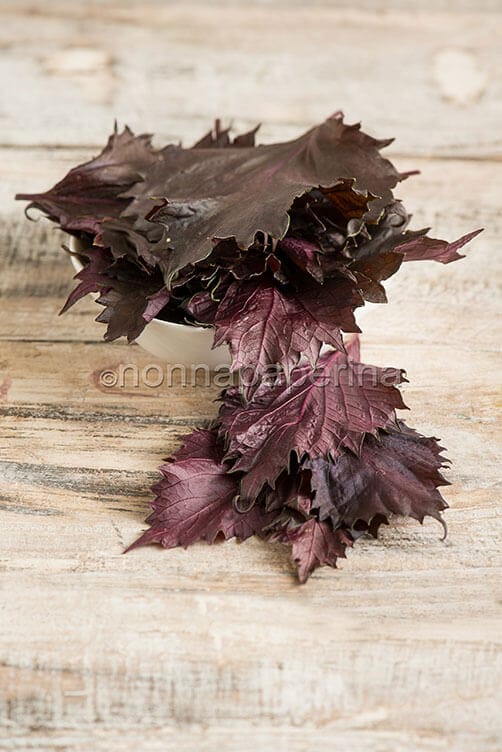 Shiso