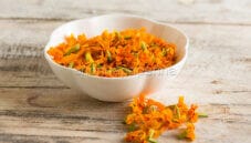 Tagete, dal Messico una pianta floreale speciale Tagete, dal Messico una pianta floreale speciale