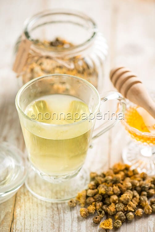 Te al crisantemo Te al crisantemo