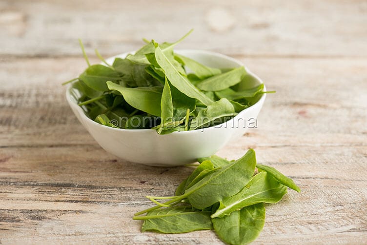 L’acetosa, una pianta aromatica sottovalutata acetosa