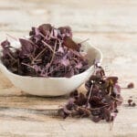 Red basil and green basil, their differences and uses in the kitchen