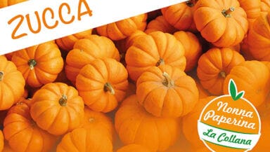 Ebook zucca titolo