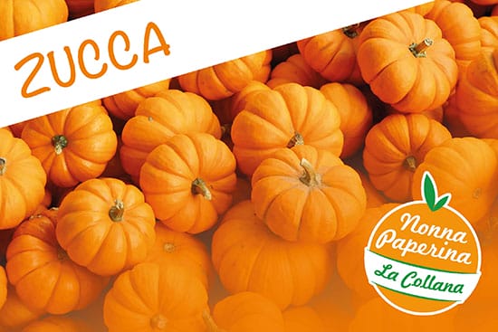 Ebook zucca titolo