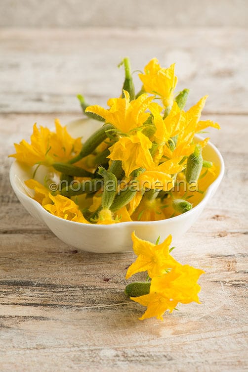 fiori di cetriolo