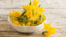 I fiori di cetriolo, un ingrediente che non ti aspetti