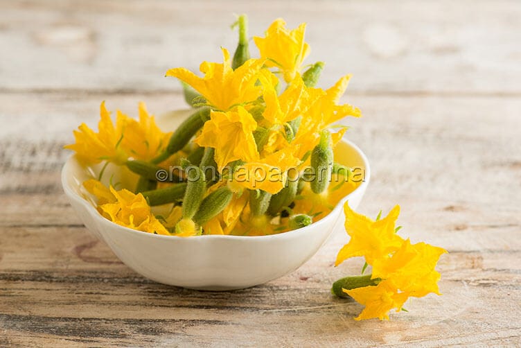 I fiori di cetriolo, un ingrediente che non ti aspetti fiori di cetriolo