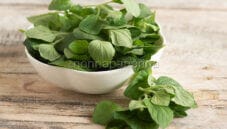 Menta e mentuccia romana, usi e proprietà Menta e mentuccia romana, usi e proprietà