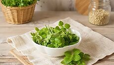 santoreggia o erba pepe