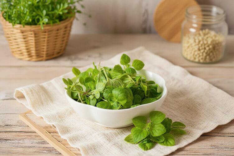 Santoreggia o erbe pepe, una pianta aromatica davvero unica santoreggia o erba pepe