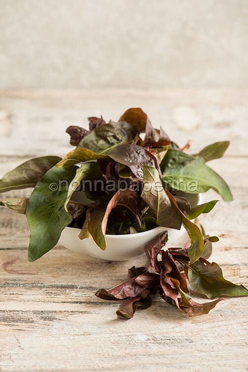 Pepe d acqua giapponese Pepe d acqua giapponese