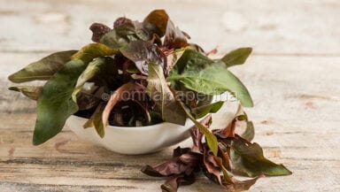 Pepe d acqua giapponese