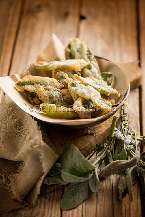 Salvia fritta Salvia fritta