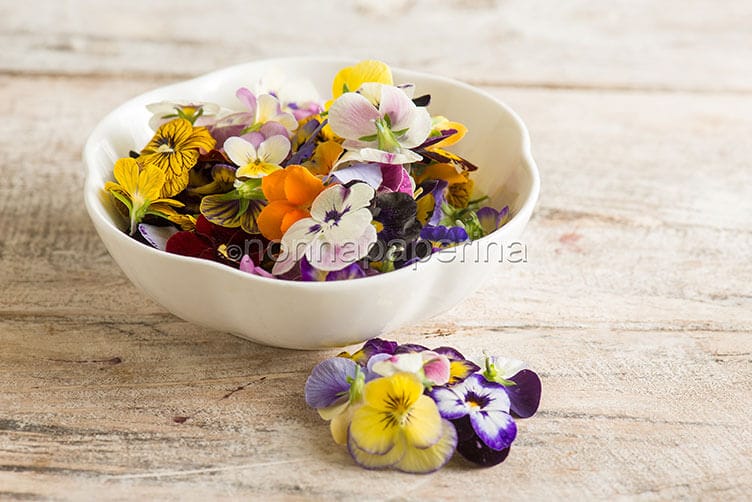 Violette, come coltivarle e utilizzarle in cucina violette