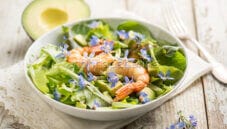 Insalata con fiori di borragine e gamberi, un mix di colori e sapori Insalata con fiori di borragine e gamberi, un mix di colori e sapori