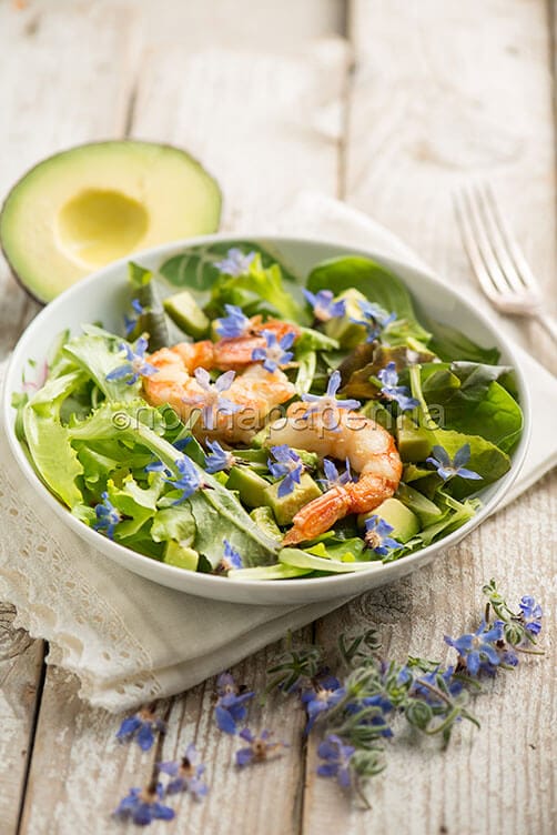 Insalata con fiori di borragine e gamberi