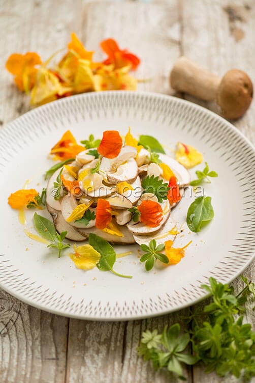 Insalata di porcini e fiori, Insalata di porcini e fiori,