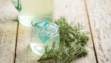 Sciroppo di erba cola, ideale per bevande fresche estive