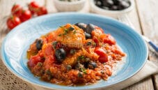 Grongo in umido, un secondo saporito di pesce Grongo in umido, un secondo saporito di pesce