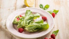 Involtini di insalata ripieni di miglio, un pranzo leggero Involtini di insalata ripieni di miglio, un pranzo leggero