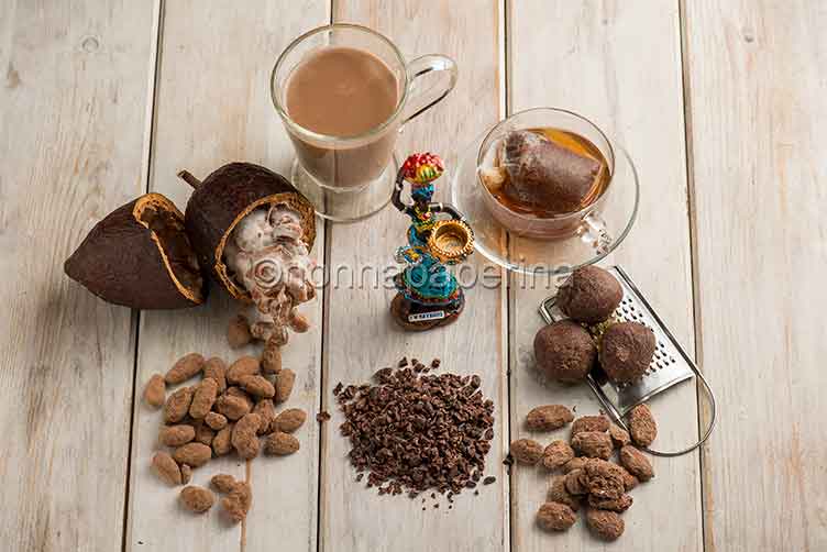 Il cacao, una pianta diffusa nella Repubblica Dominicana cacao