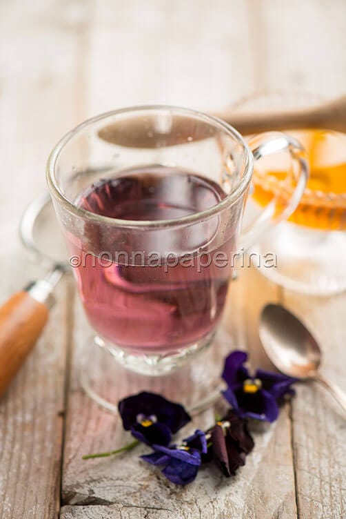 Infuso di viola mammola Infuso di viola mammola