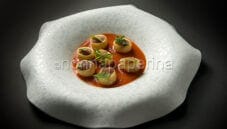 Mezzi paccheri fritti, un’idea sfiziosa per un primo piatto