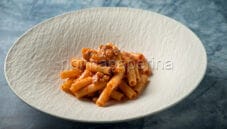 Pasta con pomodorini confit e tonno, un primo unico Pasta con pomodorini confit e tonno, un primo unico