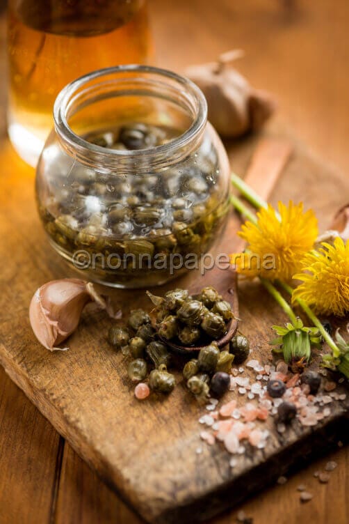 Boccioli di tarassaco sotto aceto