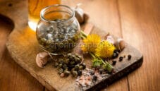 Boccioli di tarassaco sotto aceto, una conserva raffinata