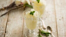 Sorbetto allo yuzu, un fine pasto esotico Sorbetto allo yuzu, un fine pasto esotico