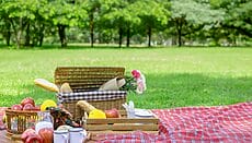 Ferragosto picnic
