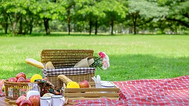 Ferragosto picnic